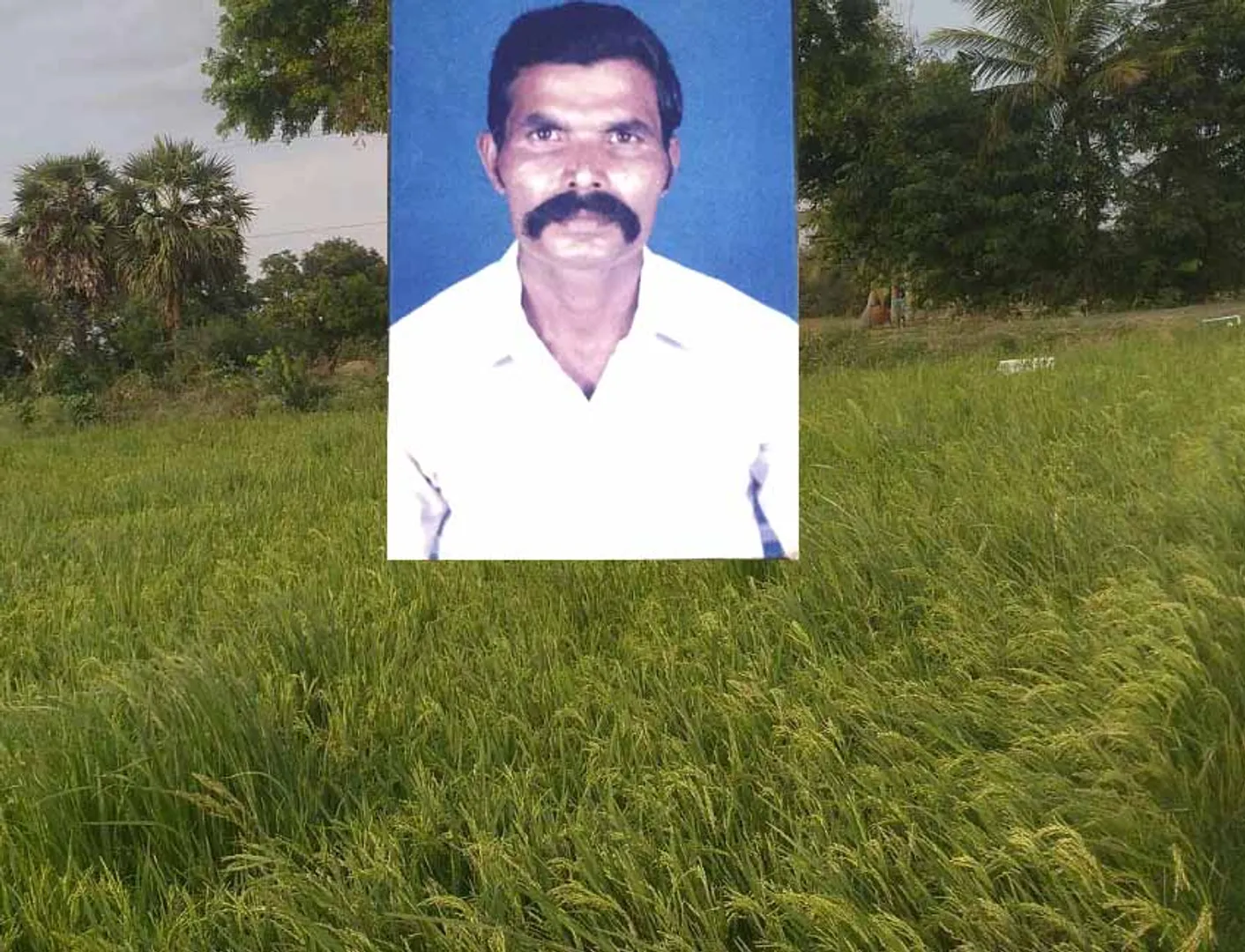 sekar